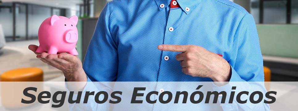 Los seguros mas economicos