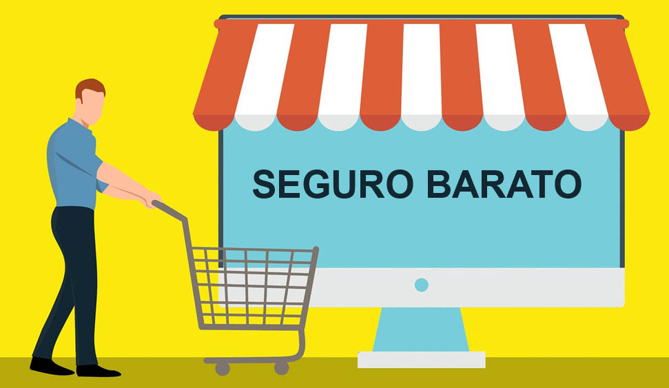 Seguros baratos Georgia